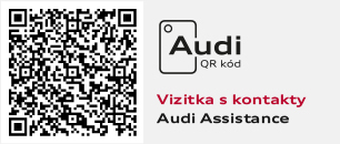 Audi Assistance