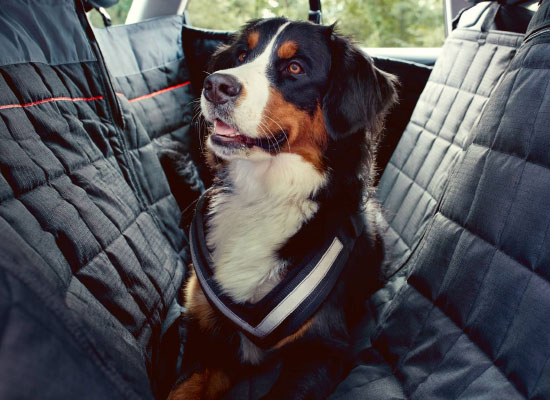 Ochranná deka pro psy na zadní sedadla